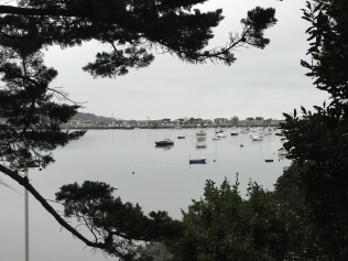 glimpse through the trees to boats
